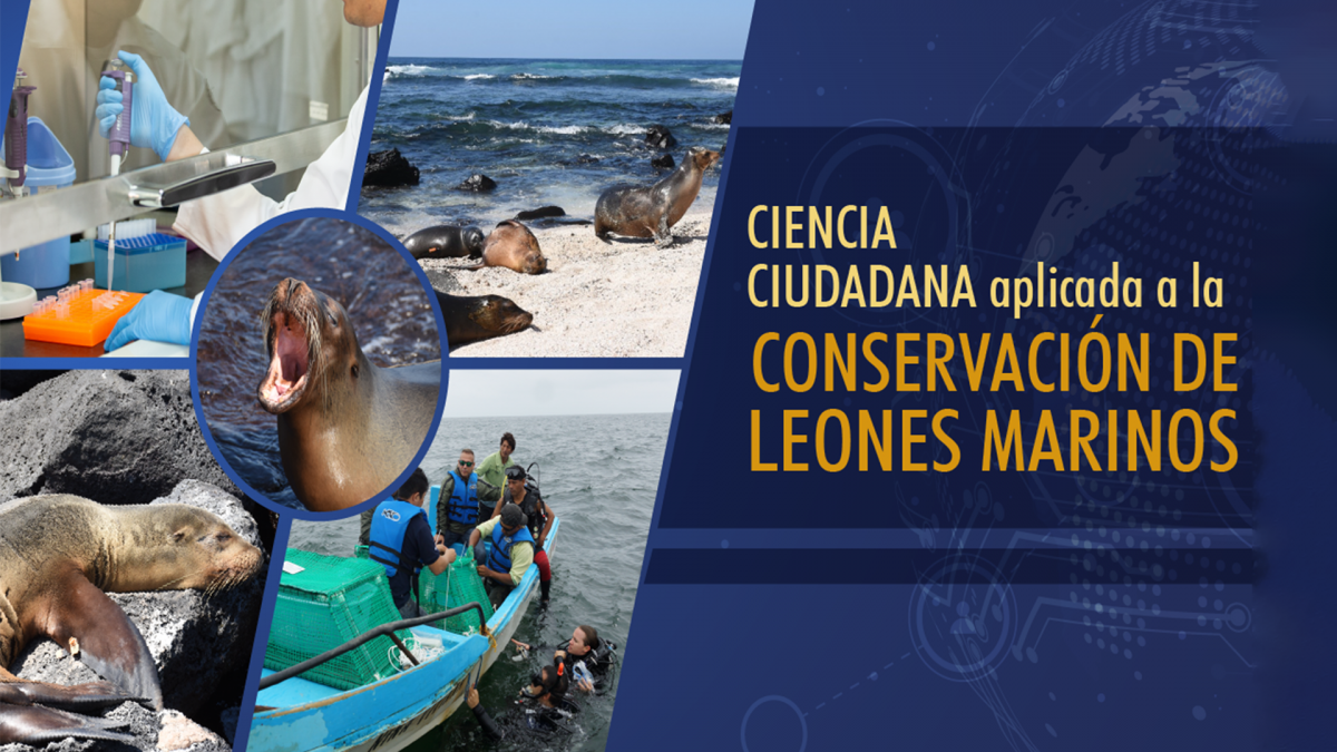 CONSERVACIÓN DE LEONES MARINOS